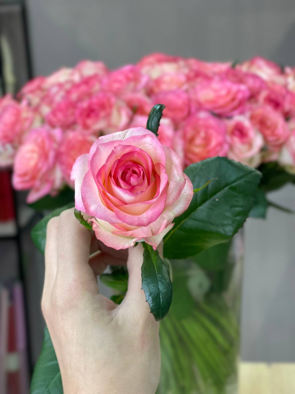 Роза Джумилия дополнительное изображение